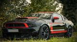 Ford Mustang 302 Boss v8 - Ford Mustang aus 2010 mit Benzin-Antrieb: Coupé