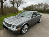 Jaguar XJ6 20 Zoll Prins VSI LPG Autogasanlage - Jaguar mit LPG-Antrieb