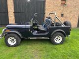 Jeep CJ 7 V8 mit H-Zulassung - Jeep CJ: Cj8