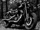 Harley-Davidson Sportster Roadster XL1200CX  Jekill & Hyde VIDEO - HARLEY-DAVIDSON SPORTSTER 1200 ROADSTER