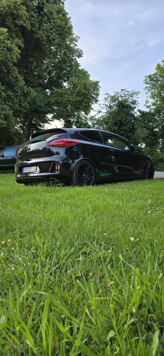 Kia pro_cee'd / ProCeed 1.6 T-GDI GT-Challenge p...