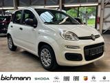 Fiat Panda Base 1.0 DAB+ USB Allwetterreifen - gebrauchte Fiat Panda aus dem Jahr 2021