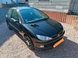 Peugeot 206 1.4 Grand Filou 75 Grand Filou Cool - Peugeot 206 aus 2006: 1.4