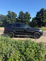 Mercedes-Benz ML 350 4MATIC BlueEFFICIENCY - - Mercedes-Benz ML 350 aus 2012