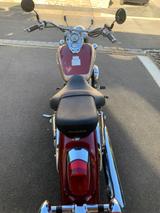 Honda Shadow 750 VT RC45 - Offers matching your search criteria