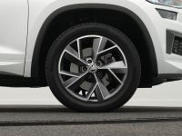 Skoda Kodiaq - Vorschau Bild 49