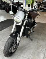 QJ Motor SRV 550  3 Jahre Herstellergarantie  !!! - QJ MOTOR MOTORRAD