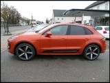 Porsche MACAN 2.0 TIP APPROVED+PANO+BOSE+360+CHRONO+LED - Porsche: 3.0
