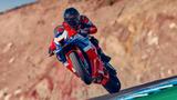 Honda CBR 1000 RR Fireblade SP *lagernd* - Offers matching your search criteria