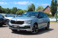 Skoda Kamiq - Vorschau Bild 1
