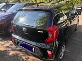 Kia Picanto 1.2 Edition 7 Scheckheftgepflegt - Kia Picanto Gebrauchtwagen in Düsseldorf