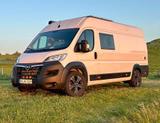 Opel Movano Profi Komplettausbau PV etc 