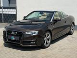 Audi A5 Cabriolet 2.0 TFSI quattro/2XSLINE/AHK/BIXENO - Audi A5: Braun, Leder