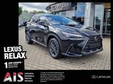 Lexus NX 350h Executive Line FLA HUD ParkAss. SpurH - graue Lexus NX 350h