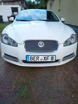 Jaguar XF 4.2 L Super V8 Super V8 - Jaguar: Super
