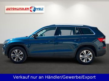 Skoda Kodiaq - 7