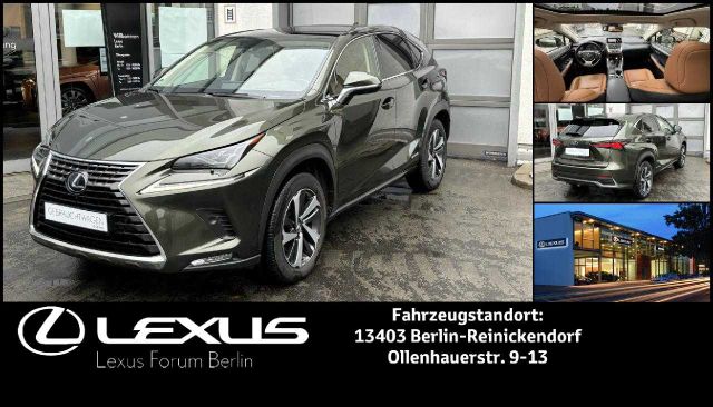 Lexus NX300h E-FOUR LUXURY LINE *Panoramadach*HuD*360°