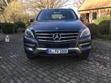 Mercedes-Benz ML 250 BlueTEC 4MATIC - - Mercedes-Benz ML 250 in Bremen