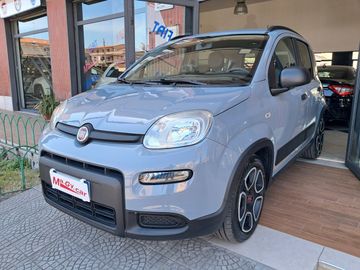 Fiat Fiat Panda 1.0 FireFly Hybrid 70 cv City Life