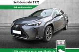 Lexus UX 250H F Sport Leder Kamera SHZ - graue Lexus UX