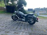 Yamaha XV 1100 Virago - Angebote