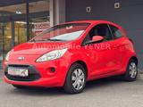 Ford Ka 1.2 Trend Klima Bluetooth  *TÜV NEU* - rote Ford Ka/Ka+