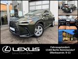 Lexus NX 350h E-Four Luxury Line * Panoramadach * Wint - Lexus NX Luxury-Line