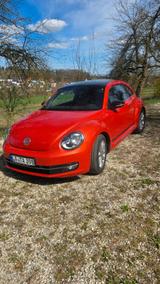 Volkswagen Beetle 1.2 TSI BMT CLUB CLUB - Volkswagen Beetle CLUB mit Benzin-Antrieb