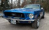Ford Mustang - gebrauchte Ford Mustang aus dem Jahr 1967