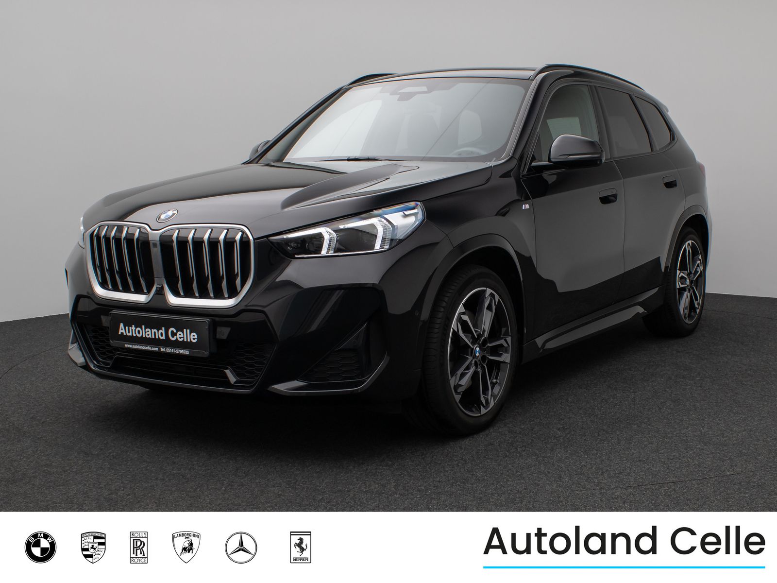 Fahrzeugabbildung BMW X1 xD23i M Sport Panoram 360°HUD DAB H/K ACC 19"