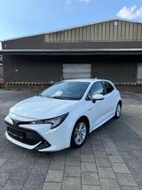 Toyota Corolla Hybrid Business Edition - Toyota Corolla Gebrauchtwagen