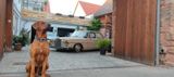 Mercedes-Benz 280  SE - gebrauchte Mercedes-Benz 280 aus dem Jahr 1972