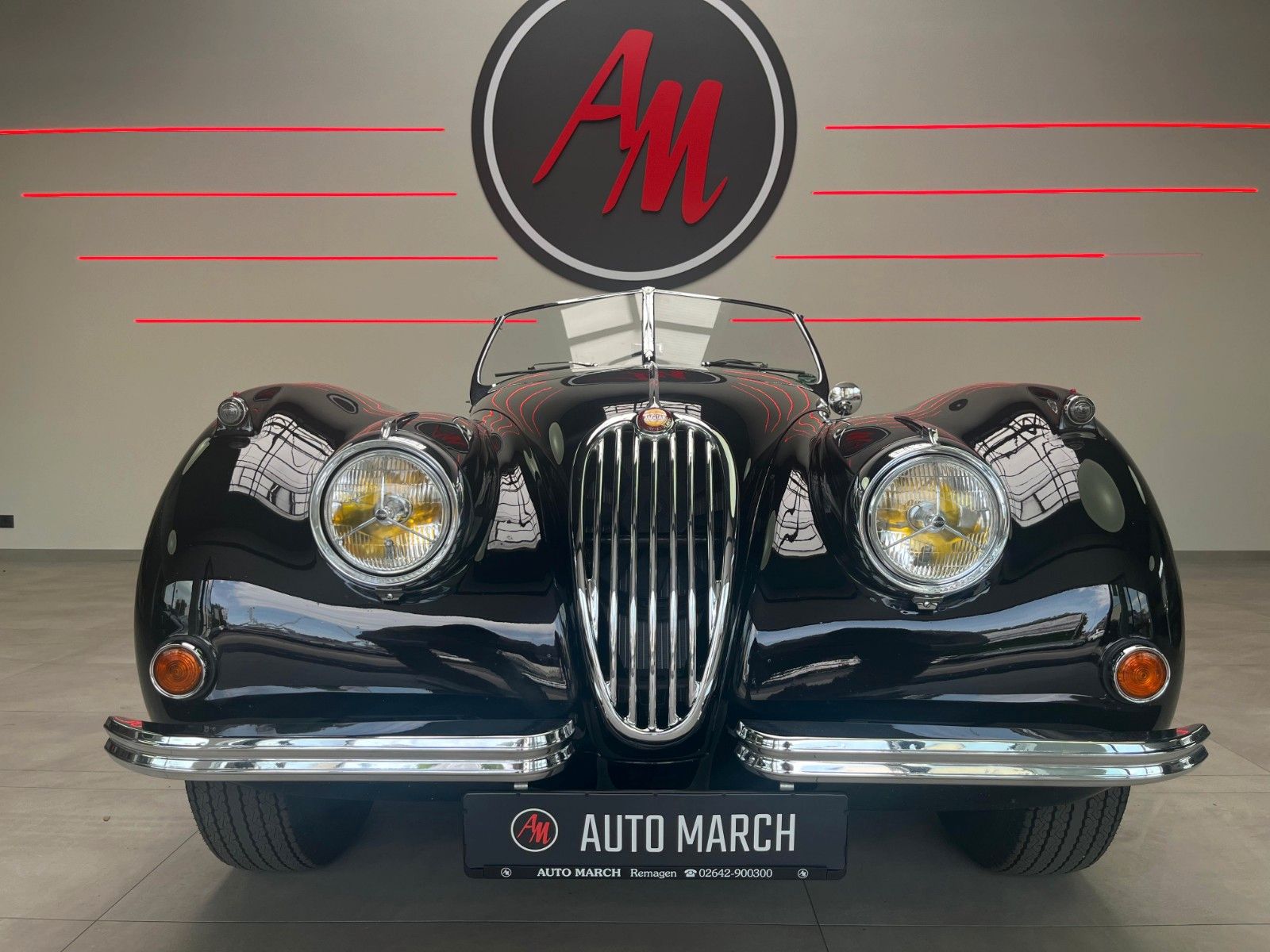 Fahrzeugabbildung Jaguar XK 140 SE-C OTS Roadster