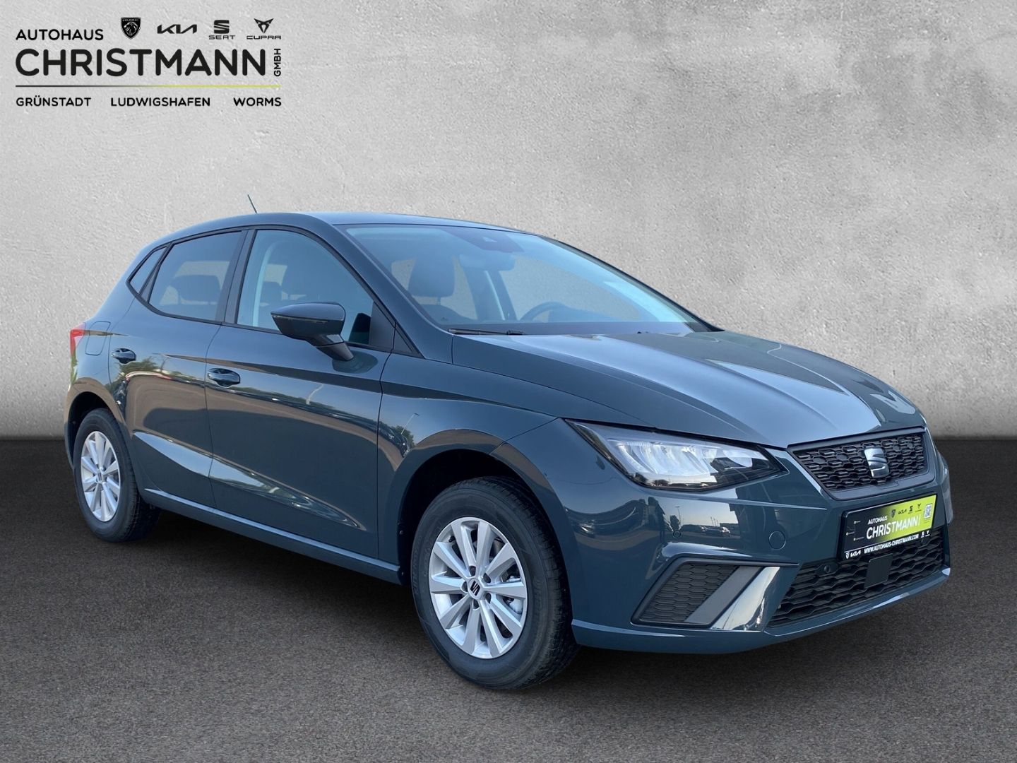 Fahrzeugabbildung SEAT Ibiza Style 1.0 TSI*RoadEd.*PDC+Cam*SHZ*NAVI*Ful