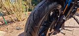 Harley-Davidson Street Rod  XG 750 A - HARLEY-DAVIDSON STREET 750
