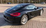 Porsche Cayman 981 Black Edition 2,7 - Porsche: 981