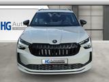 Skoda Kodiaq Sportline 2.0TDI Pano 20" 7S Canton AHK - Skoda Kodiaq Gebrauchtwagen in Stuttgart