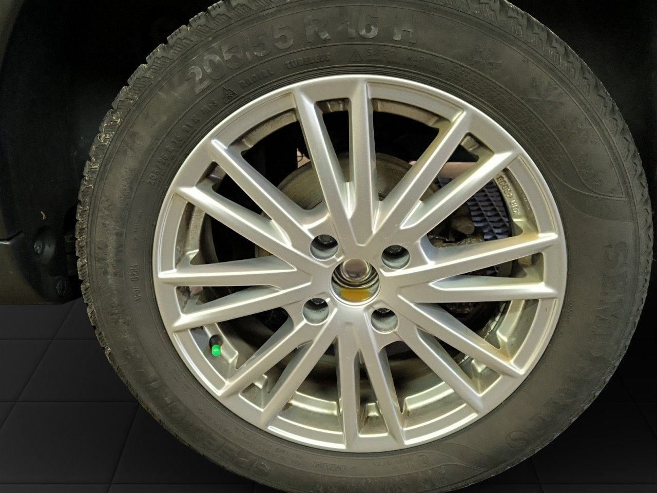 Fahrzeugabbildung Citroën C4 Cactus Shine Panoramadach Kamera uvm.