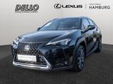 Lexus UX 250h Style+ Ed. PDC SHZ KAMERA ACC LED Facel. - Lexus UX in Hamburg