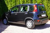 Fiat New Panda Pandina 1.0 mHEV App Connect PDC klima - Fiat New Panda Tageszulassungen