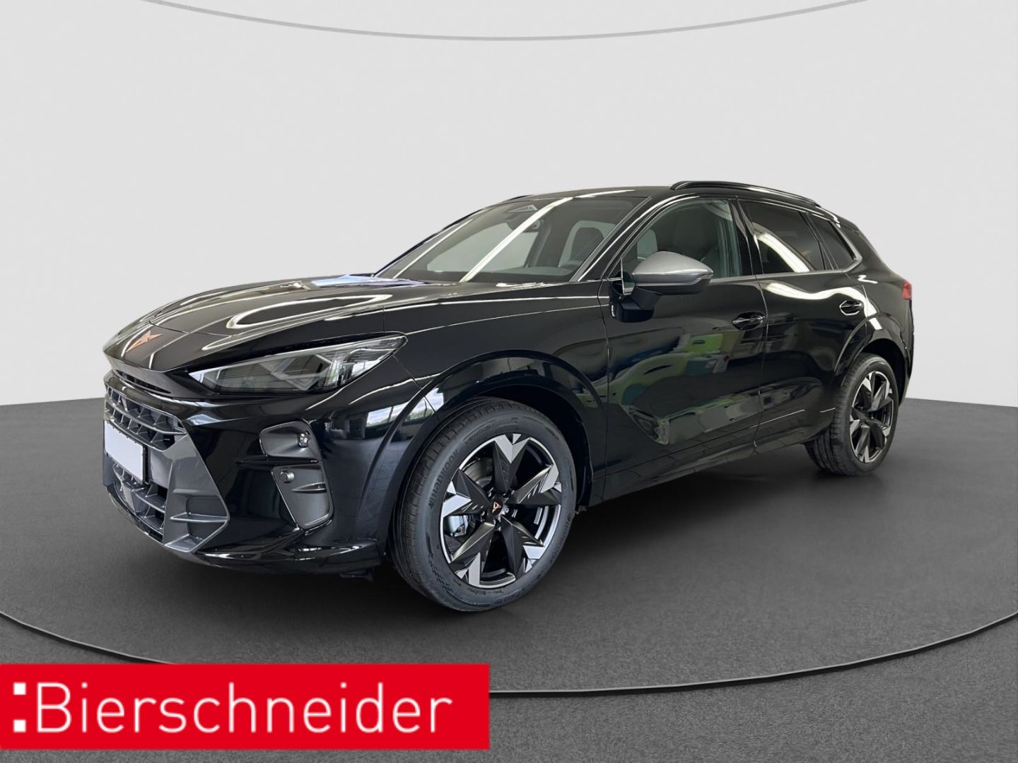 Cupra Terramar 1.5 eTSI DSG ab 359,- EUR mtl. HEAD-UP 