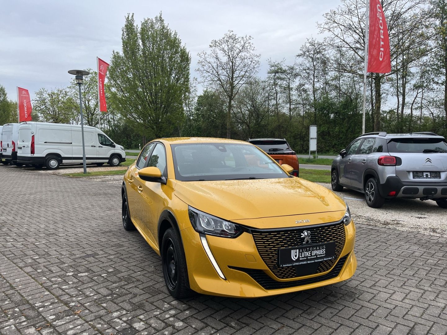 Fahrzeugabbildung Peugeot 208 Active Elektro 136 CarPlay DAB SHZ
