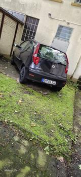 Fiat Punto - Fiat Punto in Hagen