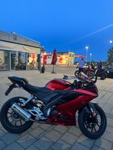 Yamaha YZF-R 125 - YAMAHA ROT YZF R125