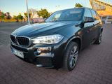 BMW X5 xDrive30d Panoramadach Anhängerkupplung  - BMW X5: 30d