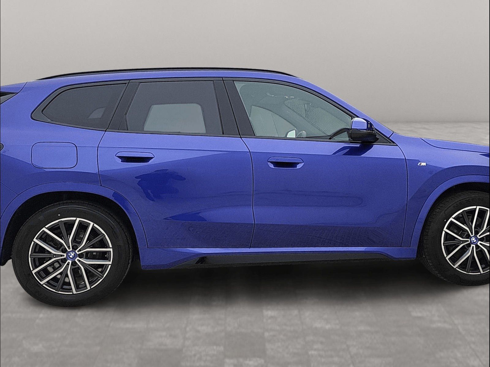 BMW X1 xDrive30e M Sport AHK Driv.Assist.Prof LED foto 4