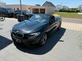 BMW 230i Cabrio M Sport M Sport - BMW 230: Leder