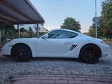 Porsche Cayman 987.2 -  TÜV neu viele Neuteile 8x ber - Porsche Cayman: 987