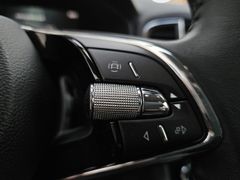 SKODA Karoq Fresh AHK NAVvorb SHZ LED PDC RKF BLT 5J G