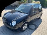 Volkswagen VW Lupo 1.0 Princeton Klima, Zahnriemen/Wa... - Volkswagen Lupo: Zahnriemen